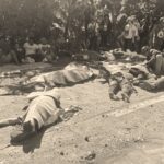 Silay casualties increase to 7; 5 in critical condition