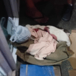 Newborn baby girl abandoned in a jeep in Talisay