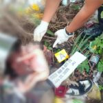 Search on for mom of dead newborn in casserole pot