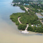 Sum-ag wins vs eng’r for reclaiming land, cutting mangroves in Sum-ag River