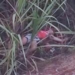 Man found dead in Murcia identified as aero student from Granada