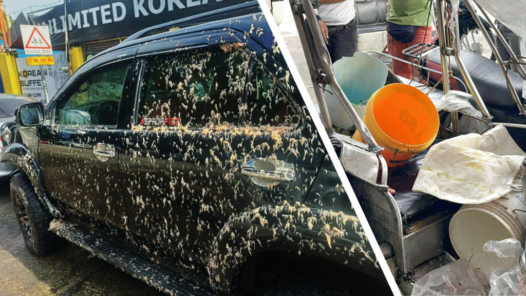 Fortuner SUV-tricycle collision kills two