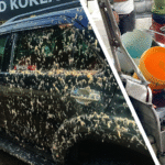 Fortuner SUV-tricycle collision kills two