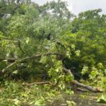 Bacolod City declares State of Calamity following typhoon Tino; Zero casualties reported