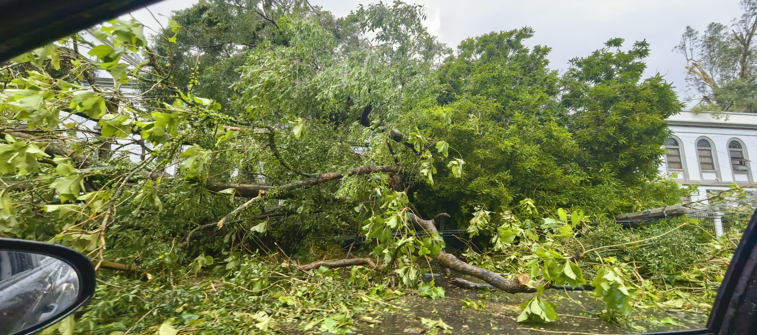 Bacolod City declares State of Calamity following typhoon Tino; Zero casualties reported