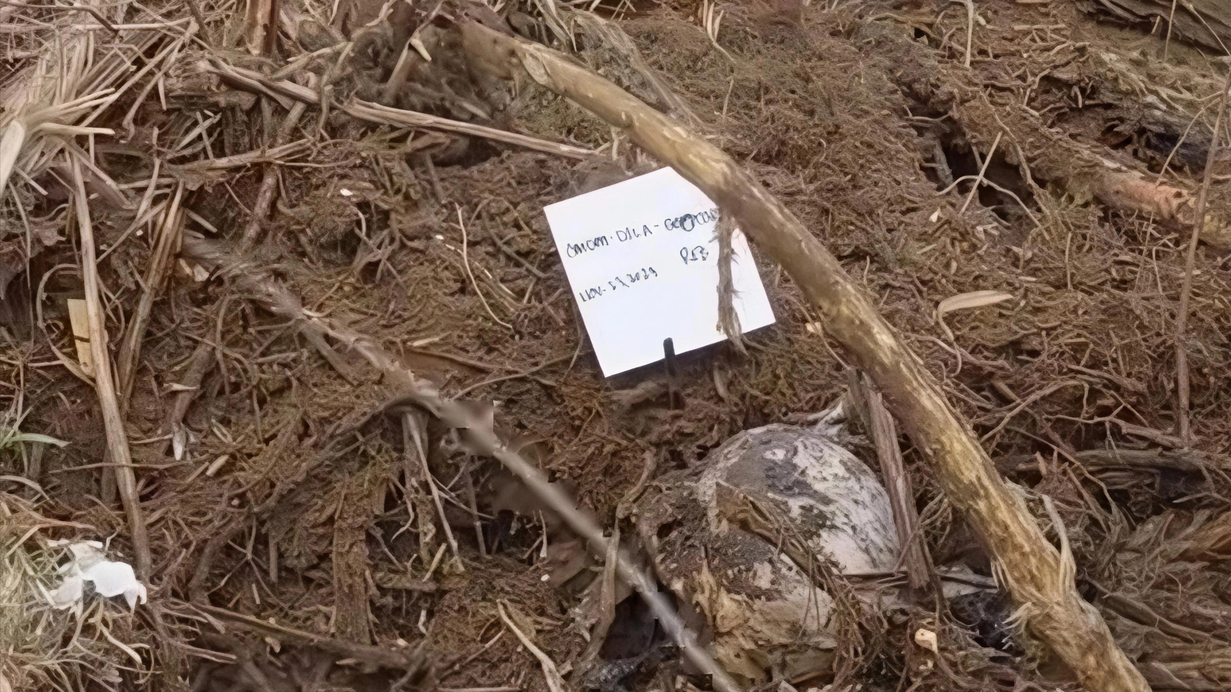 Body of missing 13-yr-old flood victim recovered in Bago